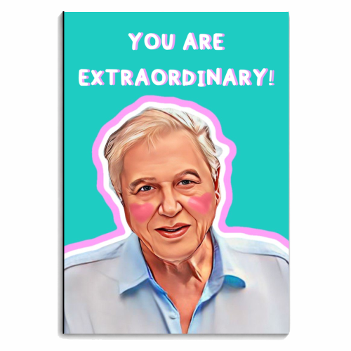 Extraordinary David - personalised A4, A5, A6 notebook by DOLLY WOLFE