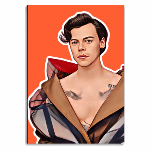 FasHUN Harry - personalised A4, A5, A6 notebook by DOLLY WOLFE