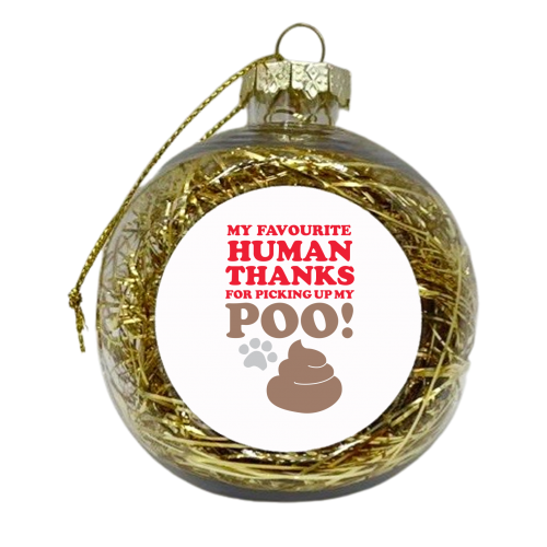 Favourite human - xmas bauble by The Boy and the Bear