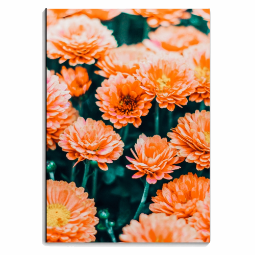 February - personalised A4, A5, A6 notebook by Uma Prabhakar Gokhale