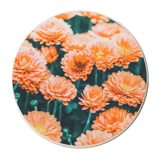 February - personalised beer coaster by Uma Prabhakar Gokhale