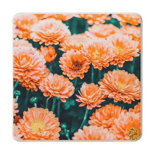 February - personalised beer coaster by Uma Prabhakar Gokhale