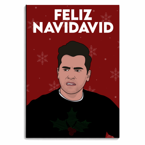 Feliz Navidavid - personalised A4, A5, A6 notebook by Pink and Pip