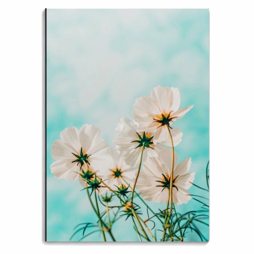 Fiona - personalised A4, A5, A6 notebook by Uma Prabhakar Gokhale