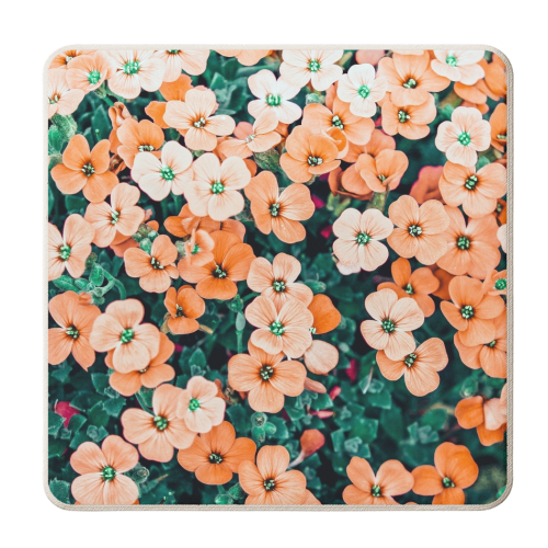Floral Bliss, Nature Photography Garden Meadow, Blush Orange Coral Summer Flowers Botanical - personalised beer coaster by Uma Prabhakar Gokhale