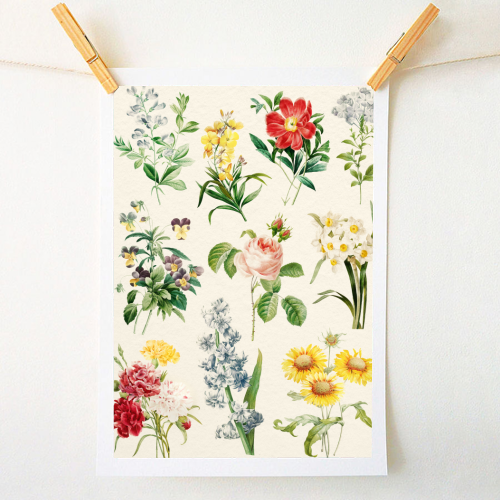Flowers Collection - A1 - A4 art print by Gal Design