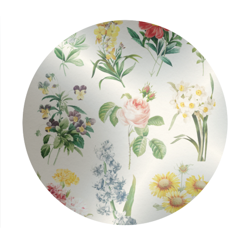 Flowers Collection - Circle Sticker by Gal Design