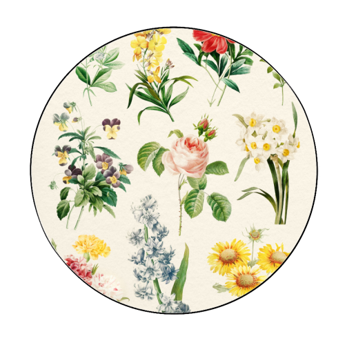 Flowers Collection - Circle Sticker by Gal Design
