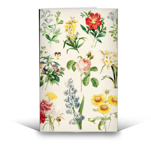 Flowers Collection - funny greeting card by Gal Design