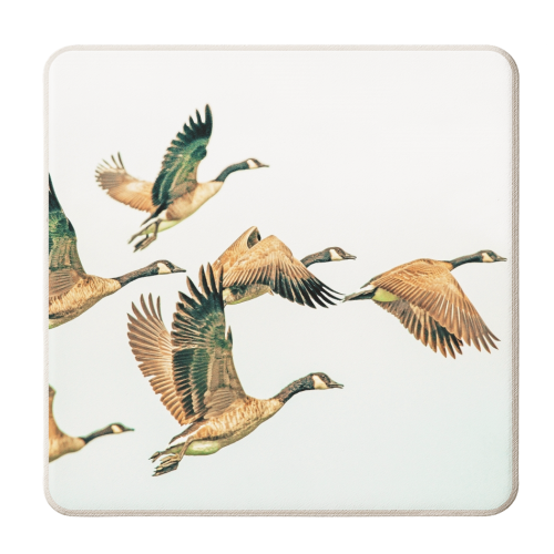 Fly Away II - personalised beer coaster by Uma Prabhakar Gokhale