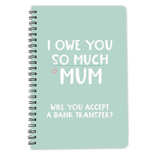 For Mum: I owe you so much funny gift - personalised A4, A5, A6 notebook by Giddy Kipper