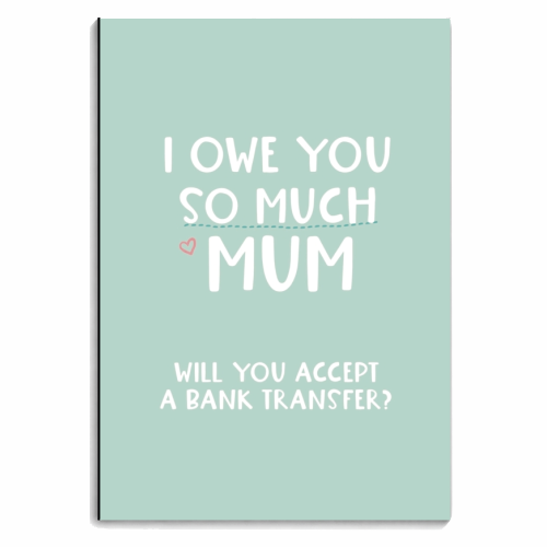 For Mum: I owe you so much funny gift - personalised A4, A5, A6 notebook by Giddy Kipper