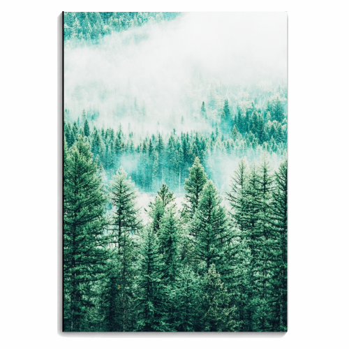 Forest and Fog - personalised A4, A5, A6 notebook by Uma Prabhakar Gokhale