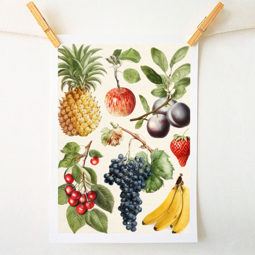 Fruits Collection - A1 - A4 art print by Gal Design