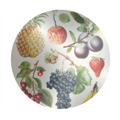 Fruits Collection - Circle Sticker by Gal Design