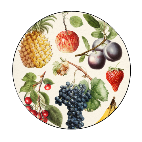 Fruits Collection - Circle Sticker by Gal Design