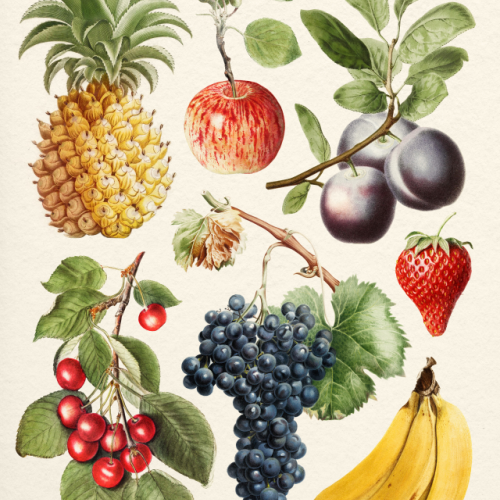 Fruits Collection - Die Cut Sticker by Gal Design