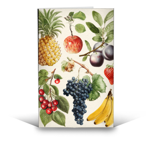 Fruits Collection - funny greeting card by Gal Design
