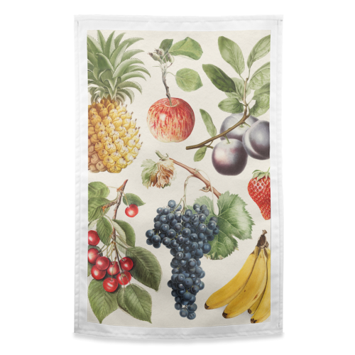Fruits Collection - funny tea towel by Gal Design