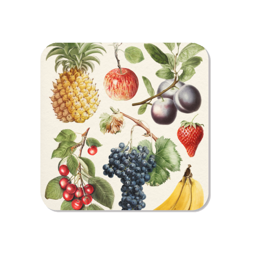 Fruits Collection - Magnet by Gal Design