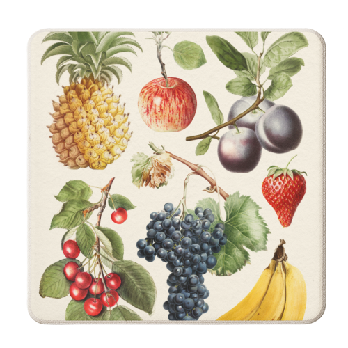 Fruits Collection - personalised beer coaster by Gal Design