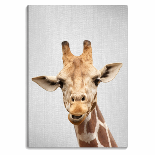 Giraffe - personalised A4, A5, A6 notebook by Gal Design