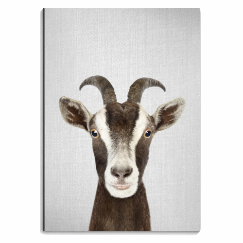 Goat - Colorful - personalised A4, A5, A6 notebook by Gal Design