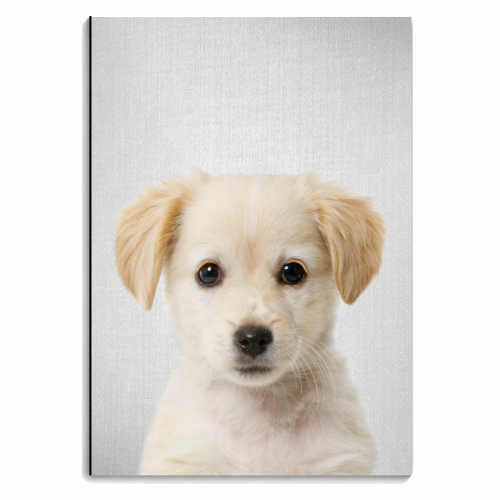 Golden Retriever Puppy - Colorful - personalised A4, A5, A6 notebook by Gal Design