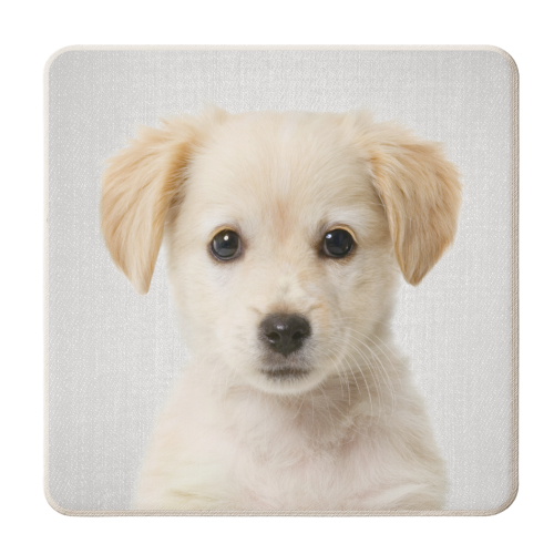 Golden Retriever Puppy - Colorful - personalised beer coaster by Gal Design