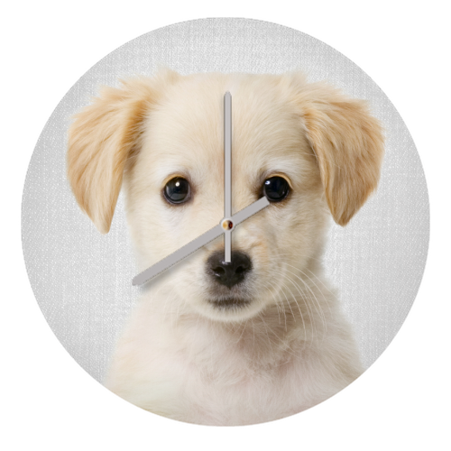 Golden Retriever Puppy - Colorful - quirky wall clock by Gal Design