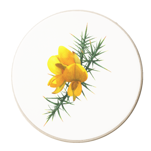 Gorse Flowers - personalised beer coaster by She Walks She Paints