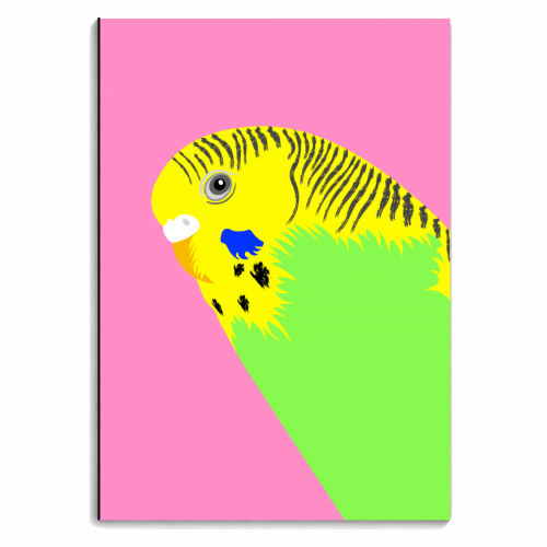 Green Budgie - personalised A4, A5, A6 notebook by Adam Regester