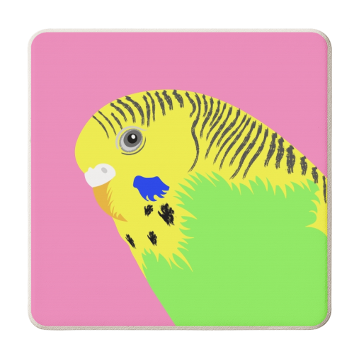 Green Budgie - personalised beer coaster by Adam Regester