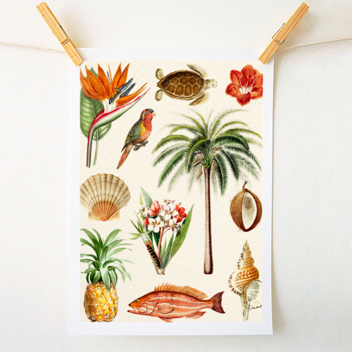 Hawaii Collection - A1 - A4 art print by Gal Design
