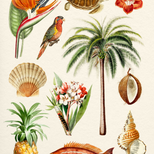 Hawaii Collection - Die Cut Sticker by Gal Design