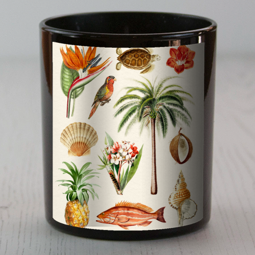 Hawaii Collection - scented candle by Gal Design