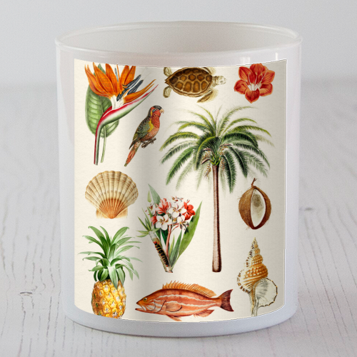 Hawaii Collection - scented candle by Gal Design