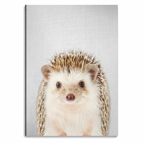 Hedgehog - Colorful - personalised A4, A5, A6 notebook by Gal Design
