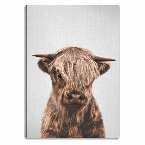 Highland Calf - Colorful - personalised A4, A5, A6 notebook by Gal Design