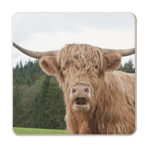 Highland Cow #1 #wall #art - personalised beer coaster by Anita Bella Jantz