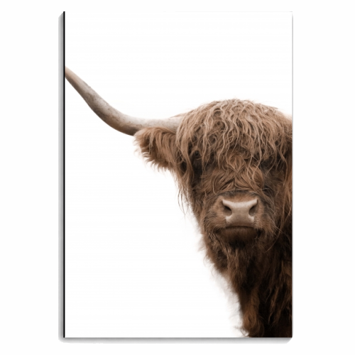 Highland Cow #5 #wall #art - personalised A4, A5, A6 notebook by Anita Bella Jantz