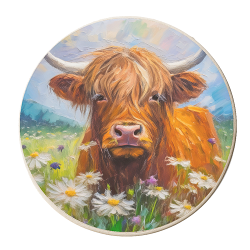 Highland Cow in a field of daisies. - personalised beer coaster by AP
