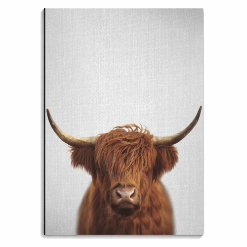 Highland Cow - personalised A4, A5, A6 notebook by Gal Design