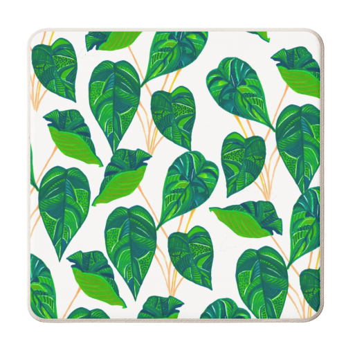 House Plant - personalised beer coaster by Uma Prabhakar Gokhale
