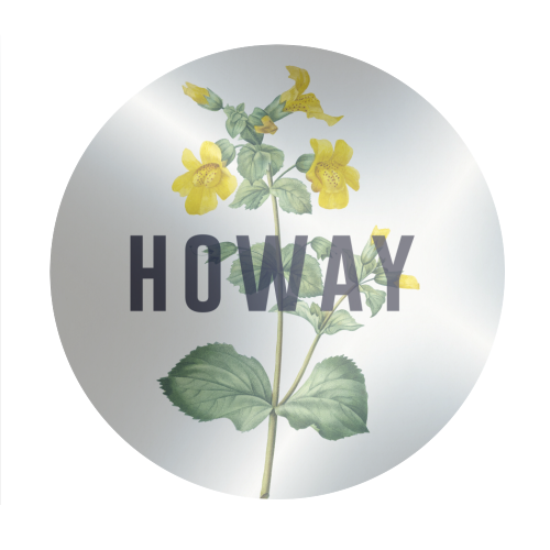 Howay - Circle Sticker by The 13 Prints