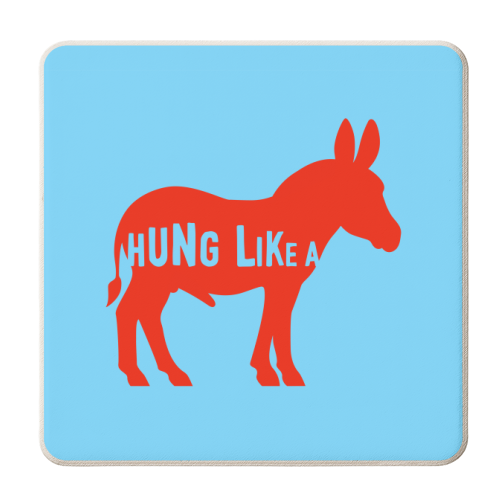 Hung Like A Donkey - personalised beer coaster by Adam Regester