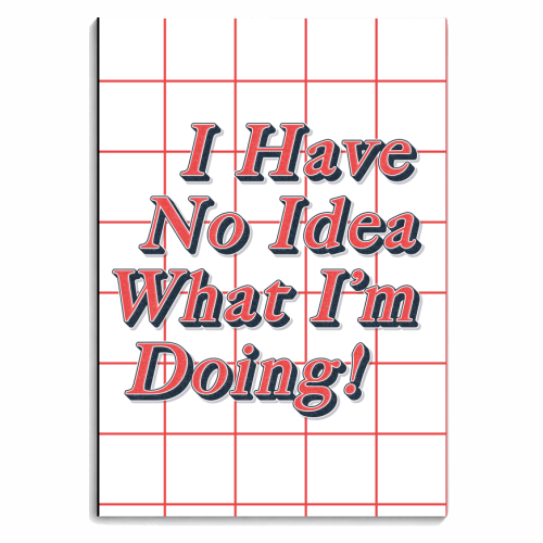 I Have No Idea What I'm Doing! - personalised A4, A5, A6 notebook by Vallely Studios