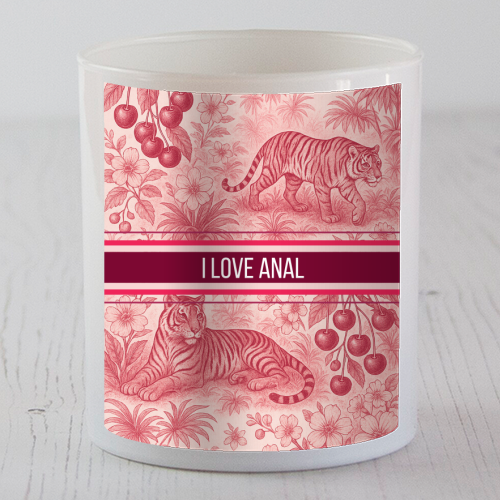 I love anal - scented candle by Lilly Rose