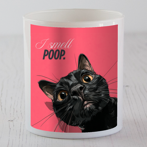 I smell poop. - scented candle by DejaReve