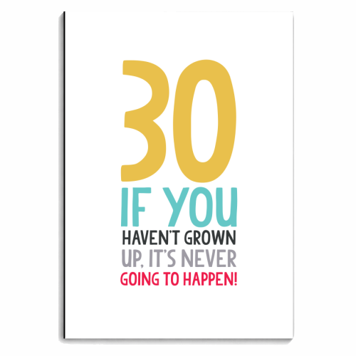 If you haven't grown up it's never going to happen! - personalised A4, A5, A6 notebook by The Boy and the Bear